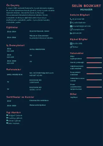 Muhabir örnek cv indir